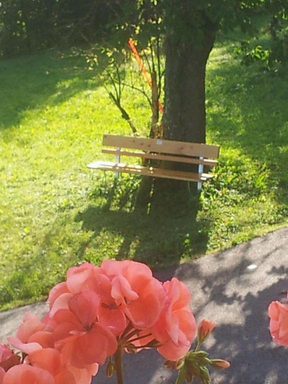 Zahrada ubytování Pension Feiersinger