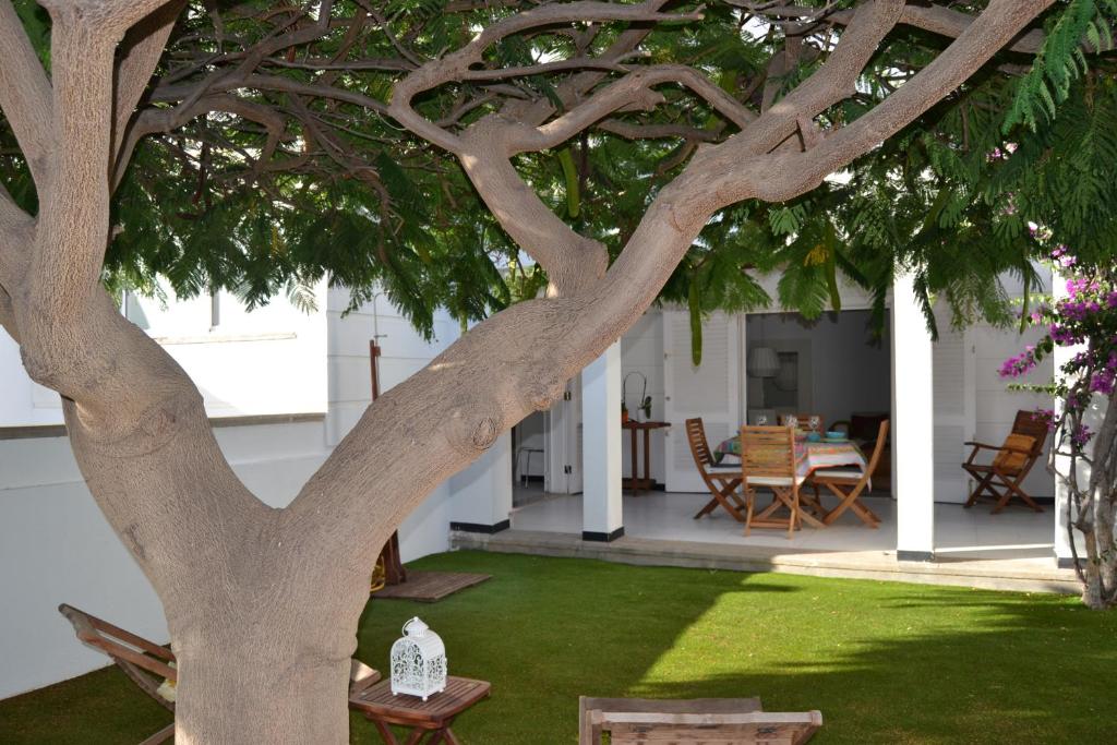 マスパロマスにあるTriplex Sonnenland with Private Gardenの庭の木