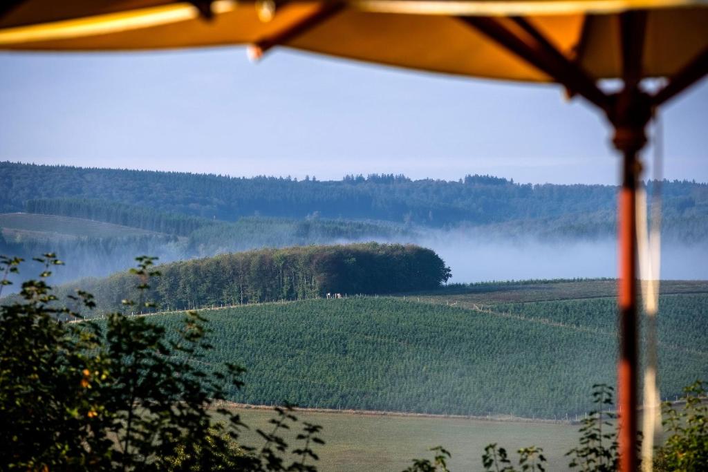 Příroda nedaleko hotelu