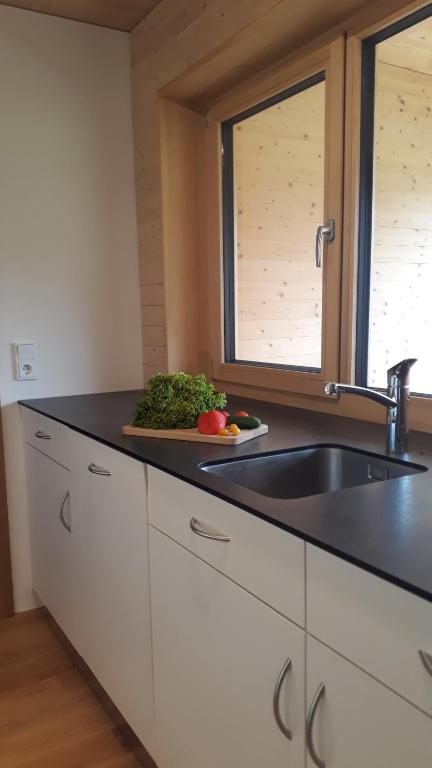 Kuchyň nebo kuchyňský kout v ubytování Ferienwohnung Greber Regina