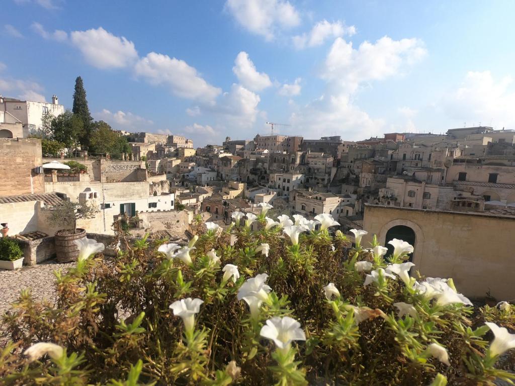 uma vista de uma cidade com flores brancas no primeiro plano em Gli Ipogei nel cuore di matera em Matera