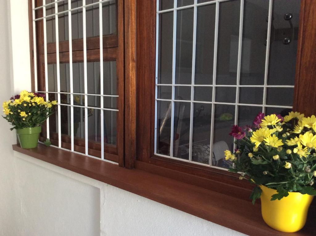 dos jarrones de flores sentados en el alféizar de la ventana en Casa Gonçalves, en Fânzeres