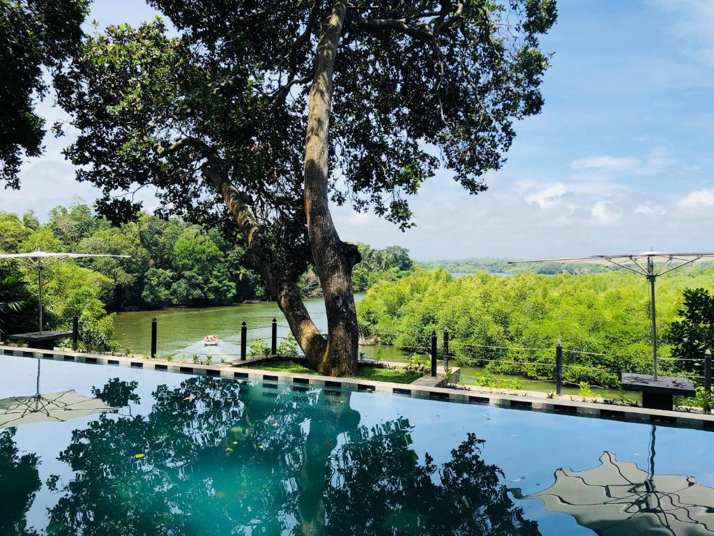 Piscina de la sau aproape de River Edge, Balapitiya