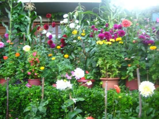 Zahrada ubytování Guesthouse Gouris