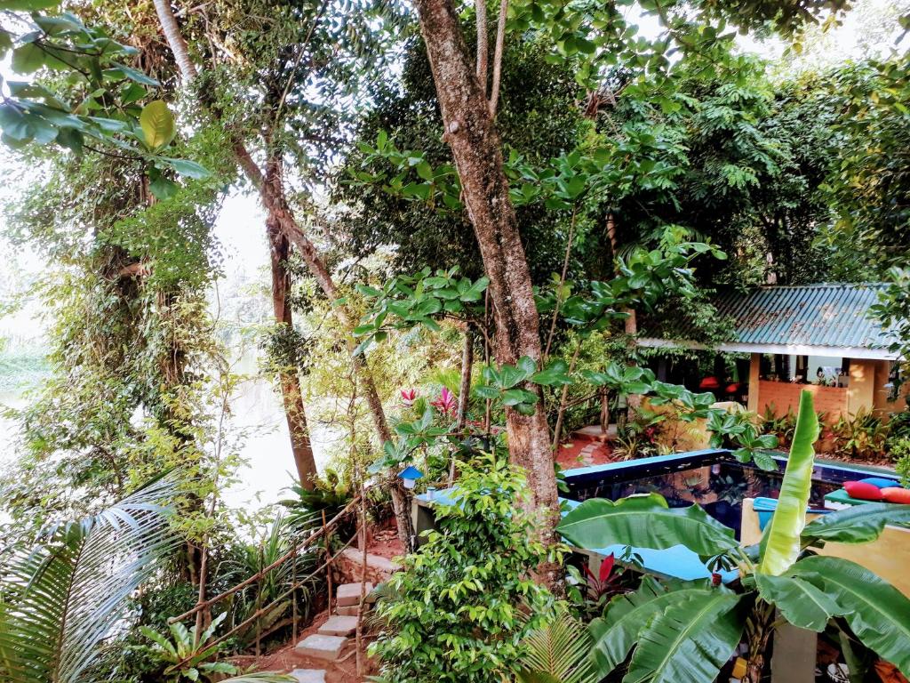 Zahrada ubytování Randoni Villa