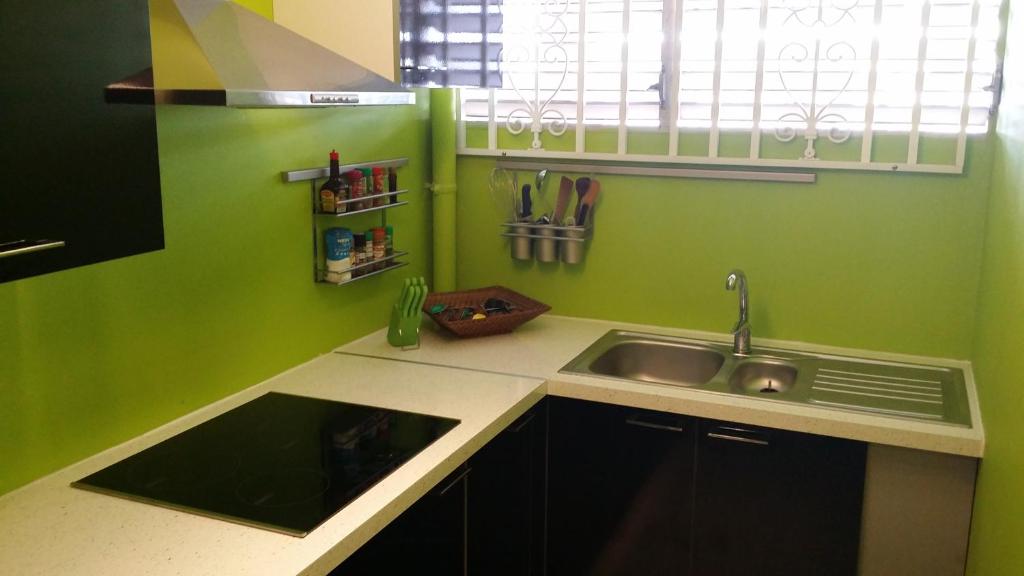 a kitchen with green walls and a sink at Chambre n°1 dans la maison du bonheur in Les Abymes