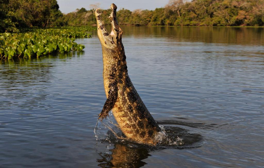  Pousada Rio Claro