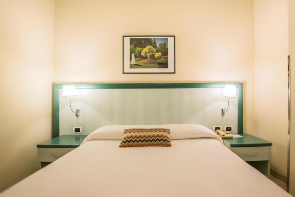 Postel nebo postele na pokoji v ubytování Hotel Europa