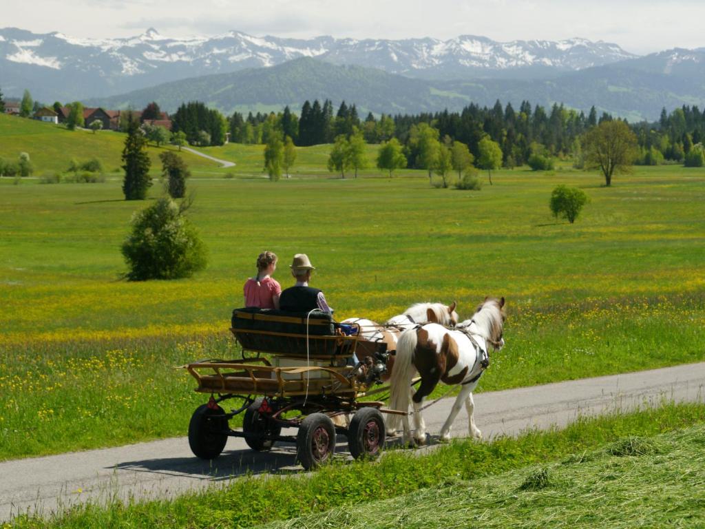 Hosté ubytování Hotel Alpenrose gut schlafen & frühstücken