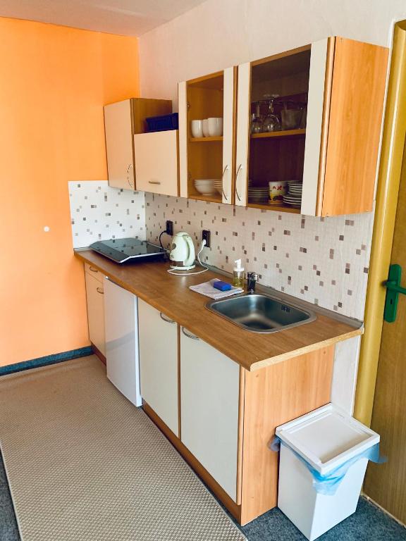 Apartmány na Horce - Sala Familiar Con Balcón