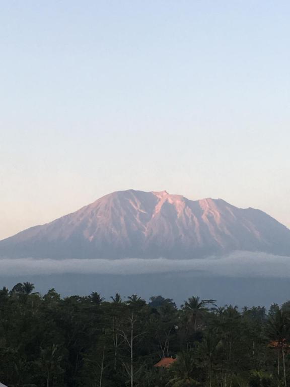 Amrita Villa Sidemen - 19