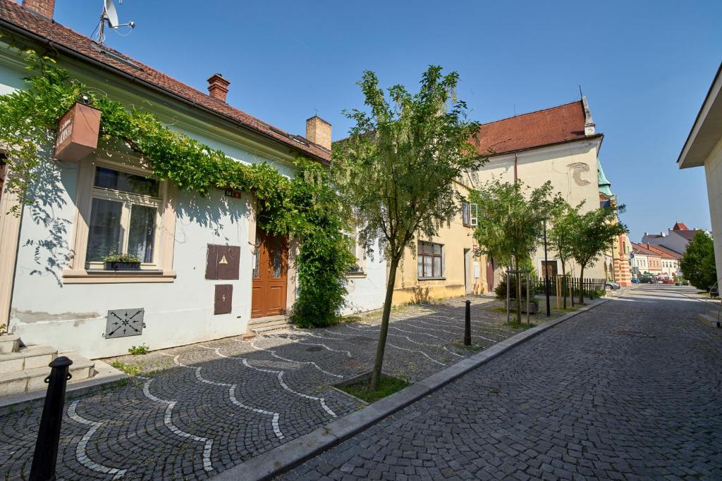 une rue pavée dans une ville avec des bâtiments dans l'établissement Krejčovství, à Mělník