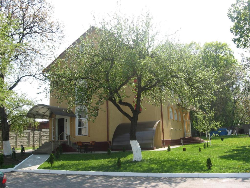 un bâtiment avec un arbre en face dans l'établissement Premier Club, à Tchernivtsi