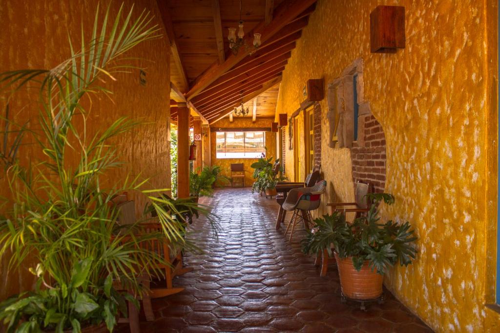 Fotografie z fotogalerie ubytování Hotel Posada Primavera v destinaci San Cristóbal de Las Casas