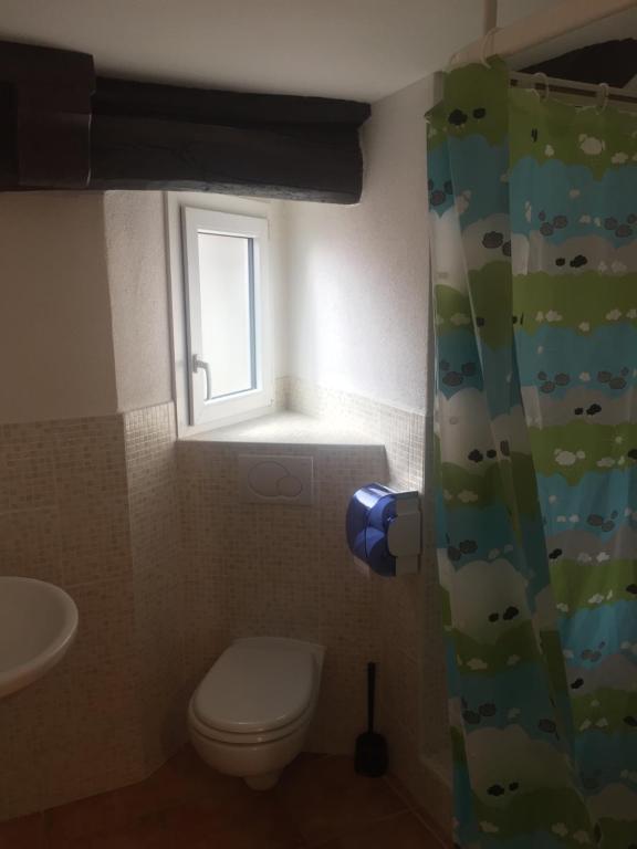 Koupelna v ubytování Albergo Ristorante Belcantone