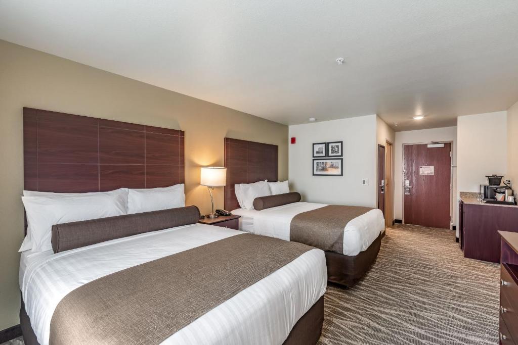 Cobblestone Hotel & Suites - Stevens Point - 大号床间 - 带两张大号床