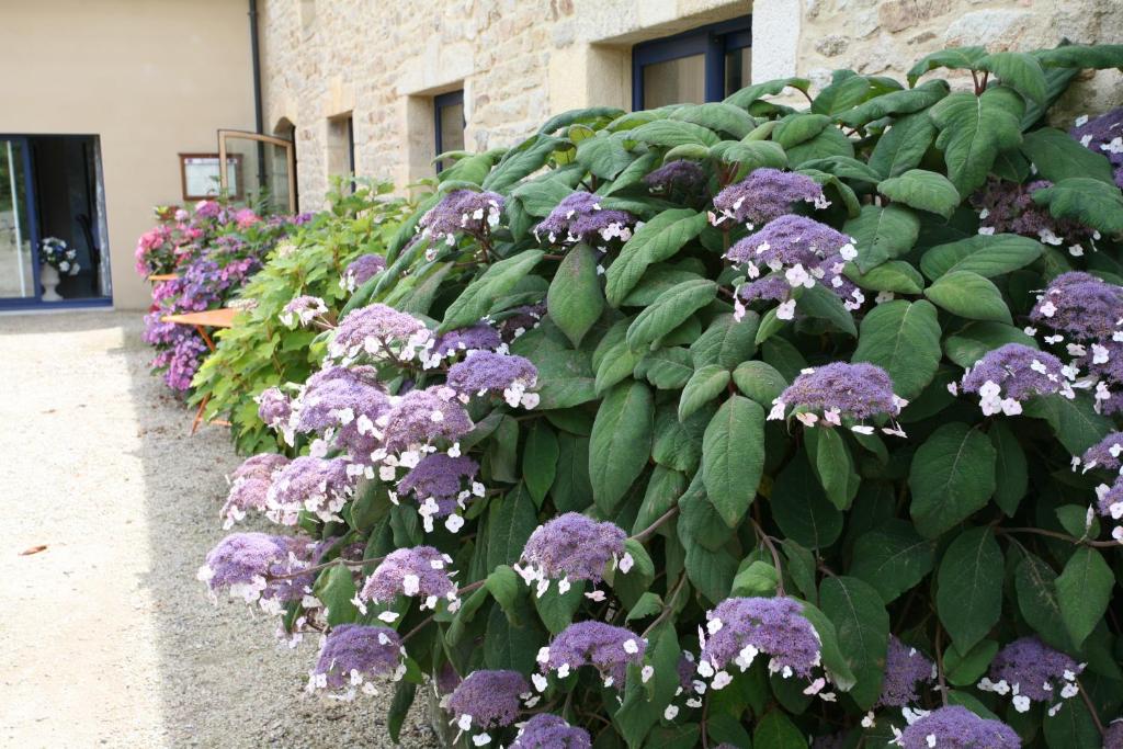 Zahrada ubytování Hôtel - Restaurant l'Hortensia