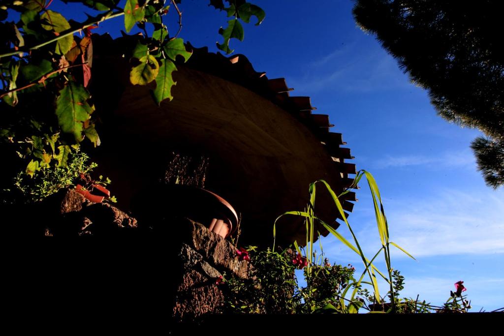 A garden outside S'Ulumu