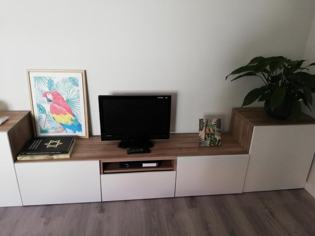 Cabeço das Fráguas - apartamento centro cidade da Guarda - 8