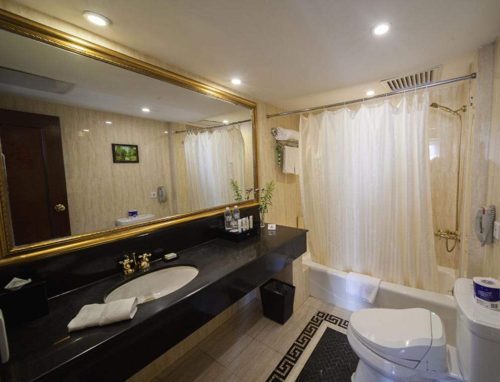 a bathroom with a sink and a toilet and a mirror at Jin Jiang Park Hotel in Shanghai