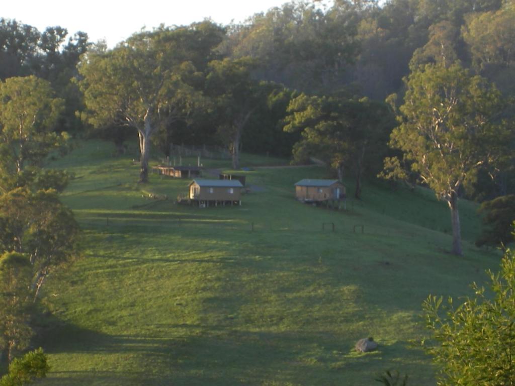 a green field with two cabins in the trees at Yasuragi Cabins in Brogo