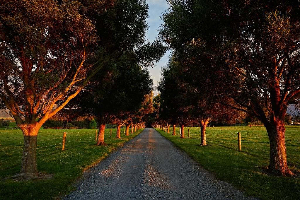 Kaikoura, Cubby House Stay - Resim 14