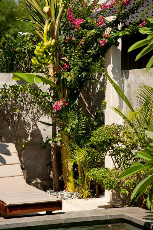 Zahrada ubytování Taman Senang - Private Pool Villas - Gili Air