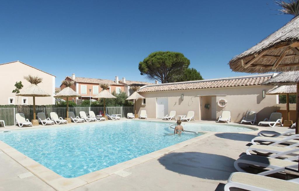 a swimming pool with chairs and a dog in the water at Résidence Odalys Le Mas des Flamants in Aigues-Mortes