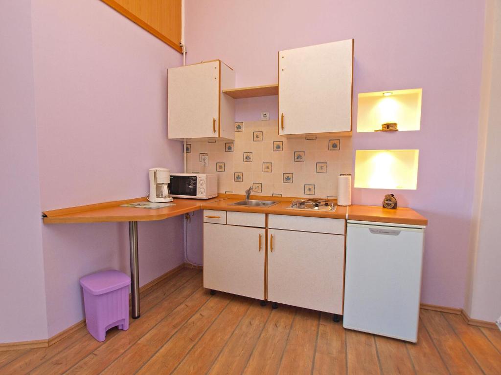 Kuchyň nebo kuchyňský kout v ubytování Apartments Fazanka 1002