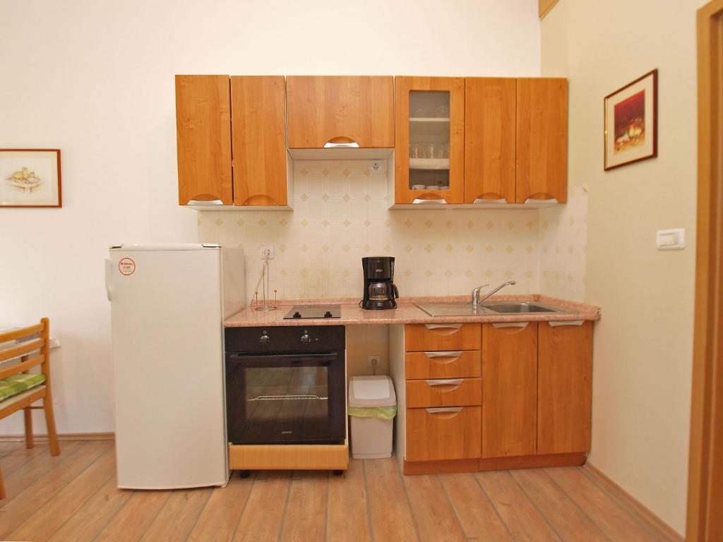 Kuchyň nebo kuchyňský kout v ubytování Apartments Fazanka 1002