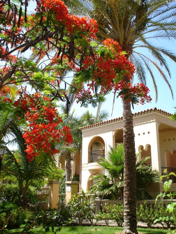 Giardino di Palm Oasis Maspalomas