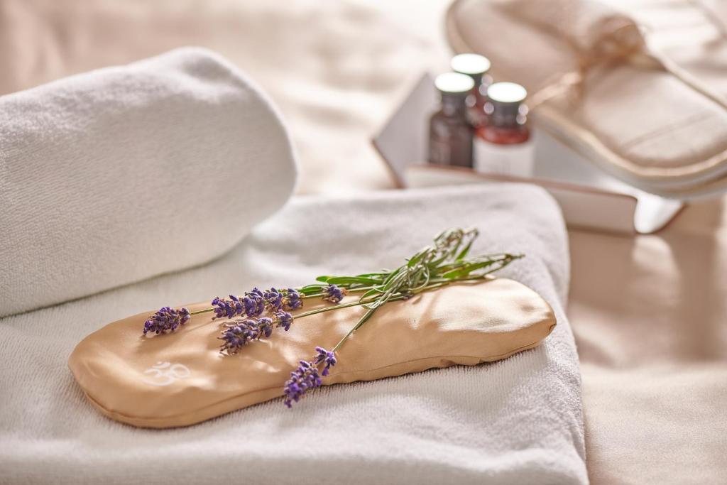 Boutique Hotel Chrysso - Resim 26