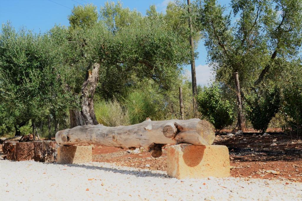 Zdjęcie z galerii obiektu Villa Graziella w mieście Ostuni