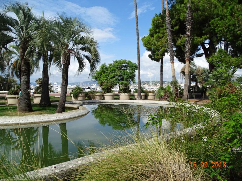 a pond in a park with palm trees at Palm beach Cannes Azur in Cannes