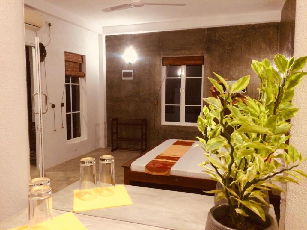 La Perla Bentota - 4