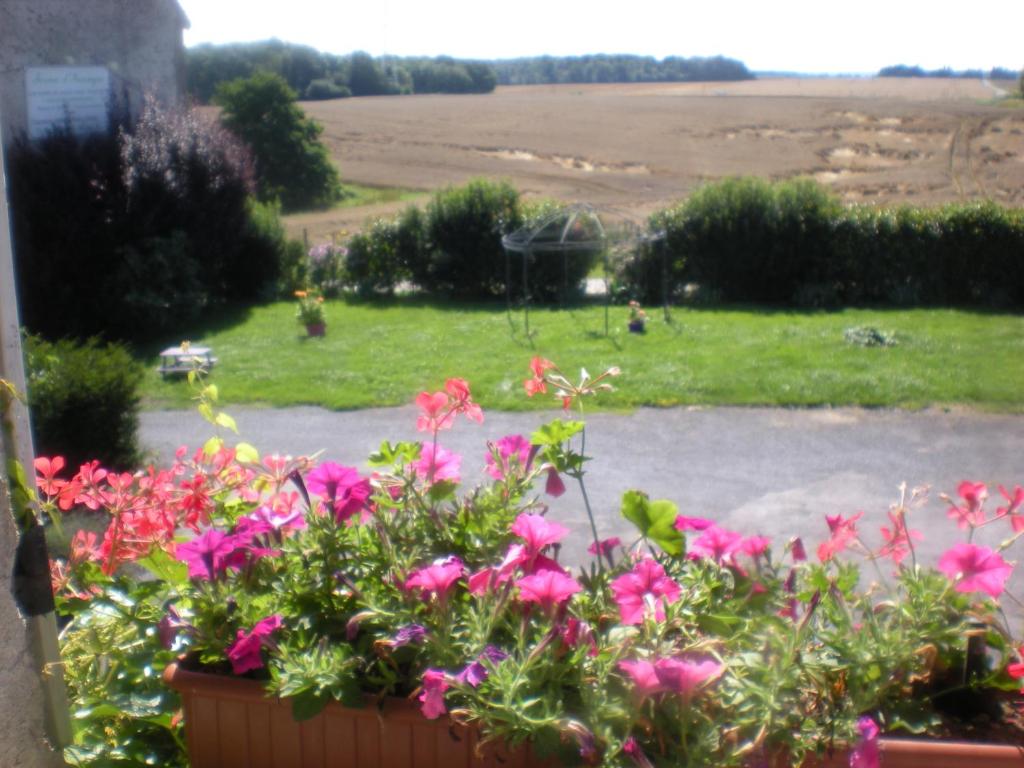 Maison d'Hôtes Ferme d'Issonges B&B - Double Room