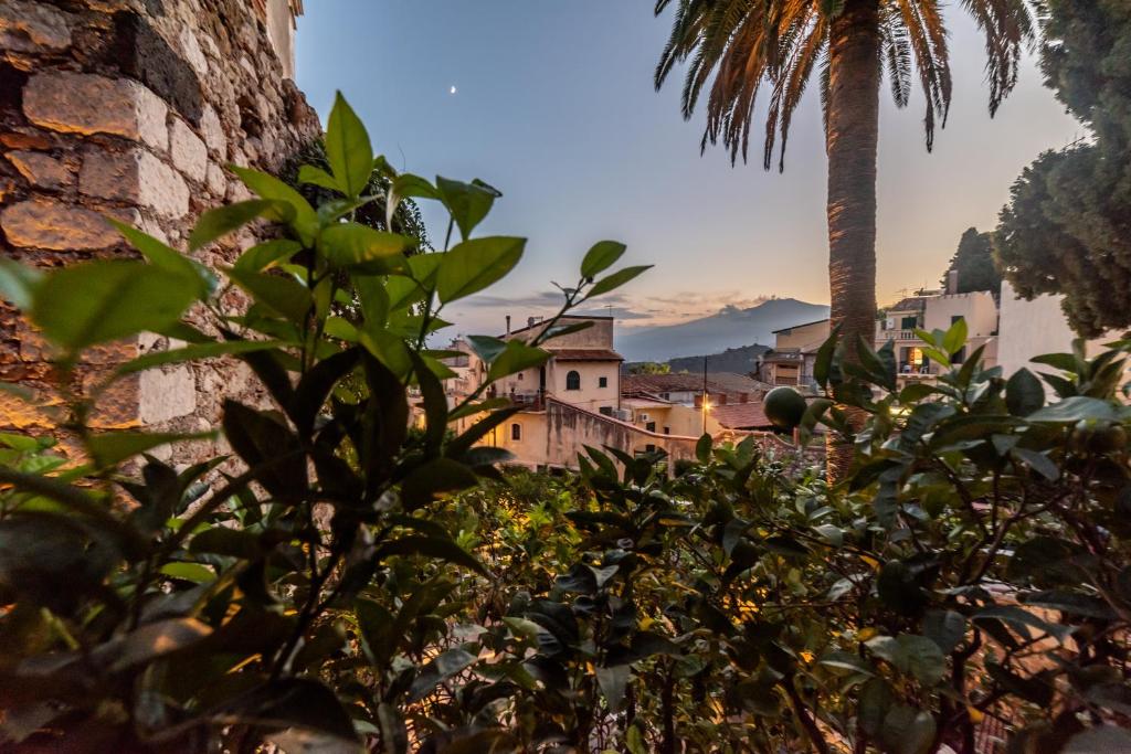 Médousa Suites - 16