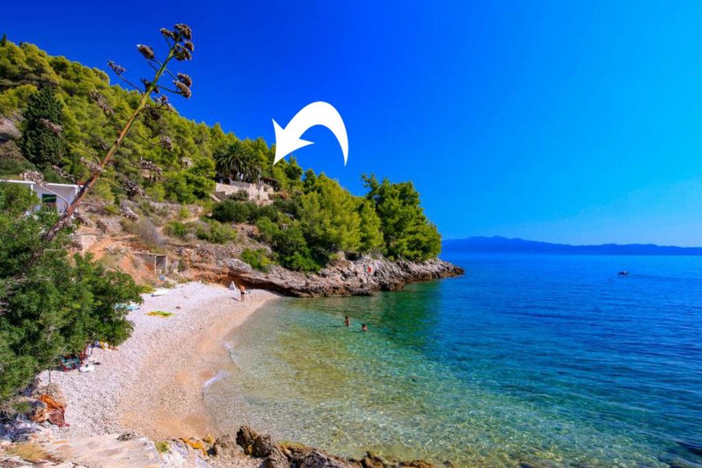 a beach with a white bird flying over the water at Robinson Olympos in Gdinj