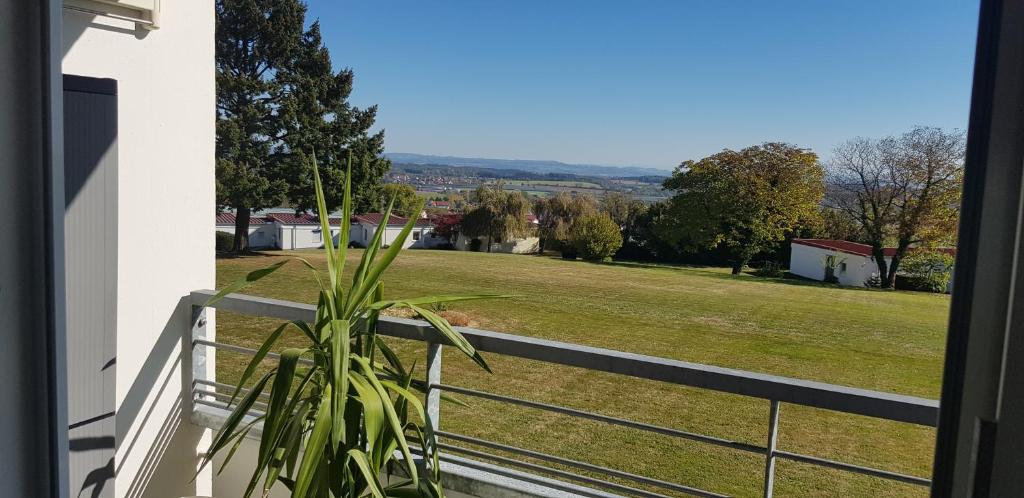 Příroda nedaleko apartmánu