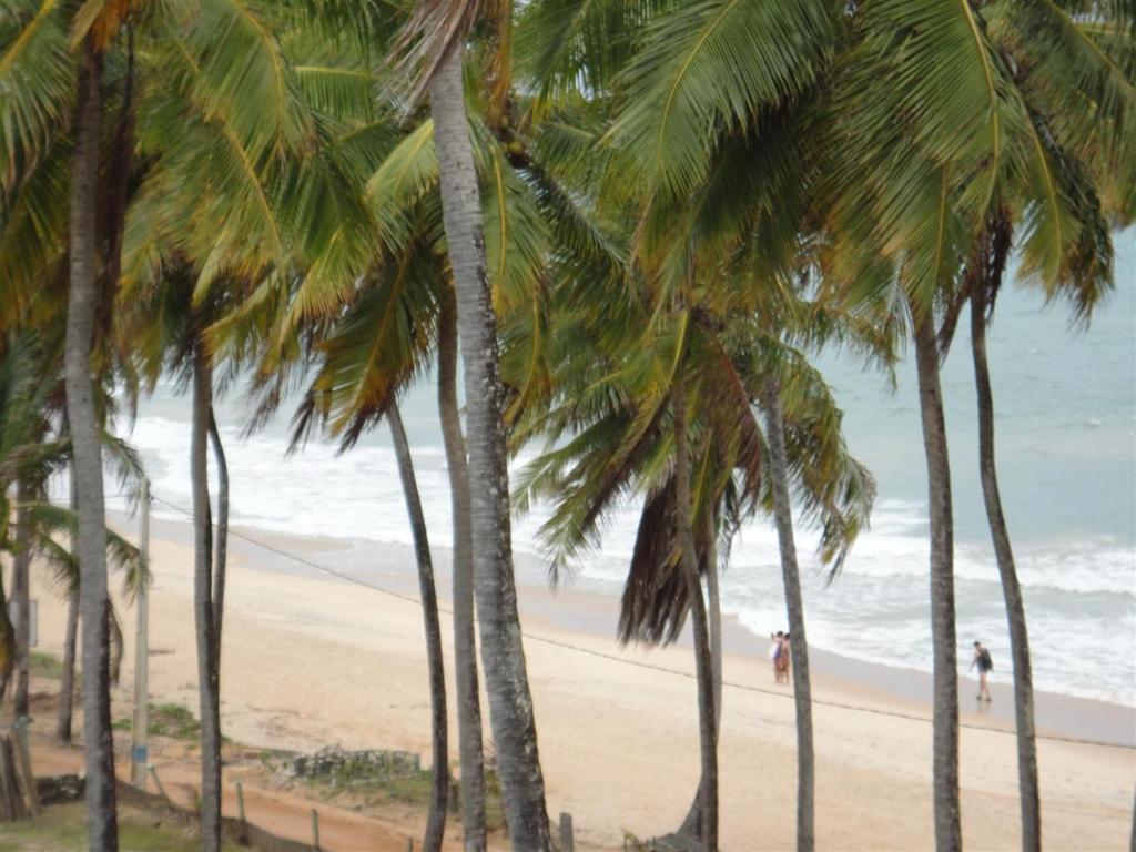  Ekoara Bangalos