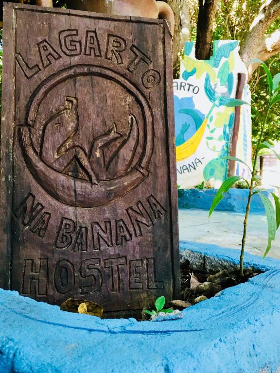 Lagarto Na Banana Hostel