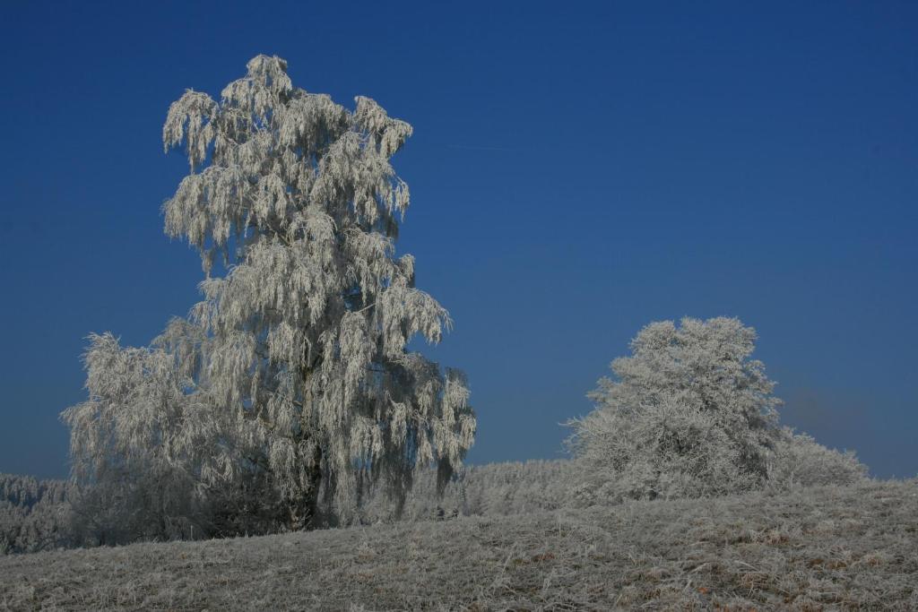 Fotografie z fotogalerie ubytování Kräuterbaude v destinaci Saupsdorf