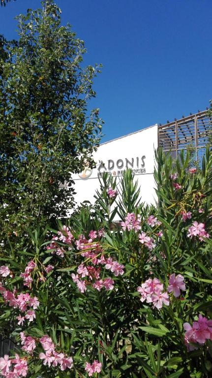 Sweet Home studio Aix en Pce, clim,terrasse,piscine,pkg,resto - Resim 34