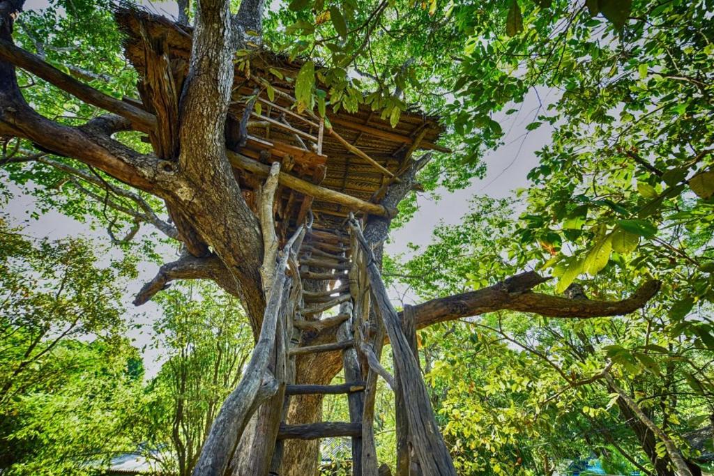 Fotografie z fotogalerie ubytování Jays Holiday Resort v destinaci Habarana