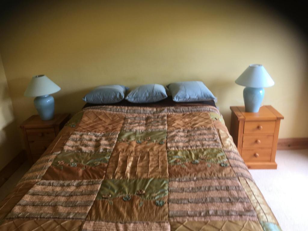 a bedroom with a bed with blue pillows and two night stands at ocean view in Wexford