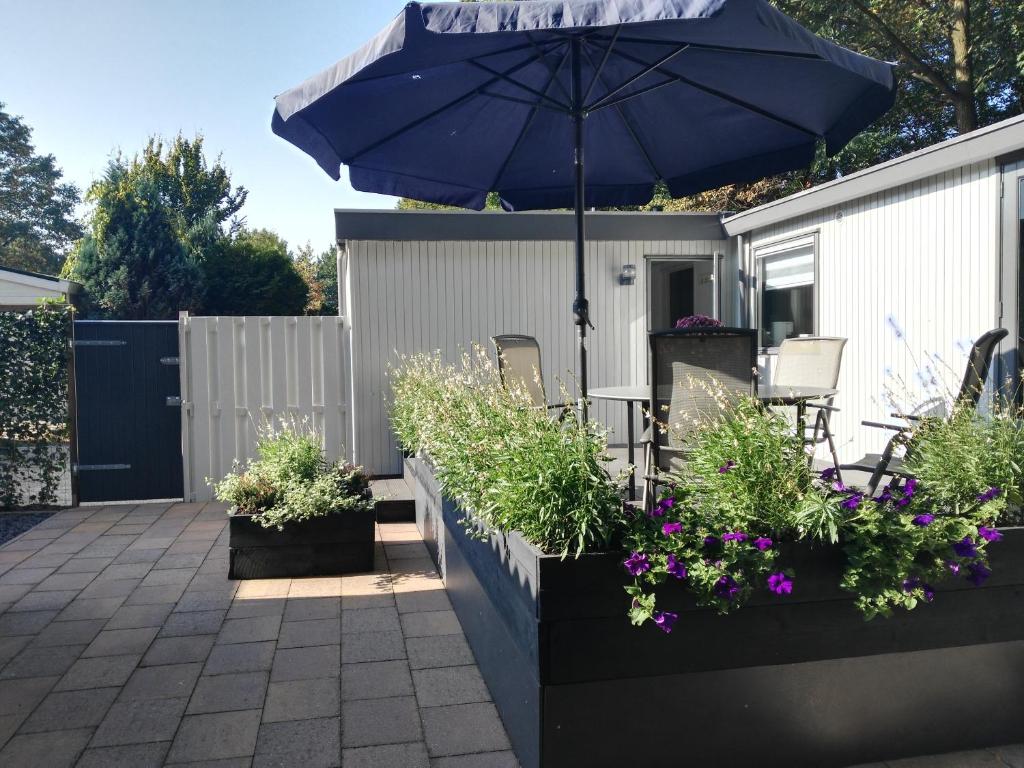 eine Terrasse mit Sonnenschirm und einigen Pflanzen und Blumen in der Unterkunft Traum-Chalet für Urlauber in Putten an der Veluwe Krachtighuizerkern 22 & free Bikes in Putten
