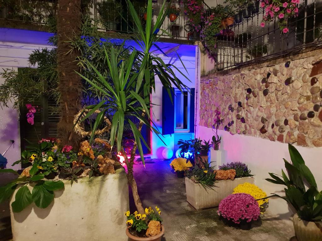 ein Raum voller Topfpflanzen und Blumen in der Unterkunft La Casa di Daniele in Brescia