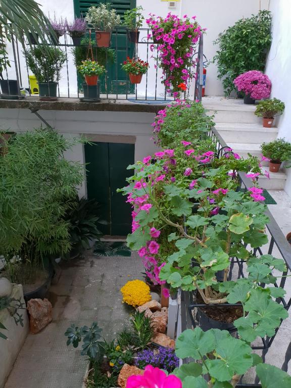 Zahrada ubytování La Casa di Daniele