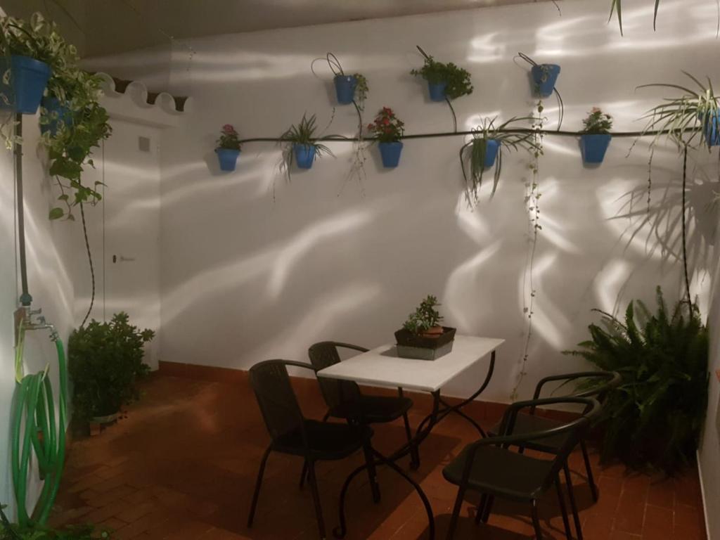 El Patio De La Aljama - 8