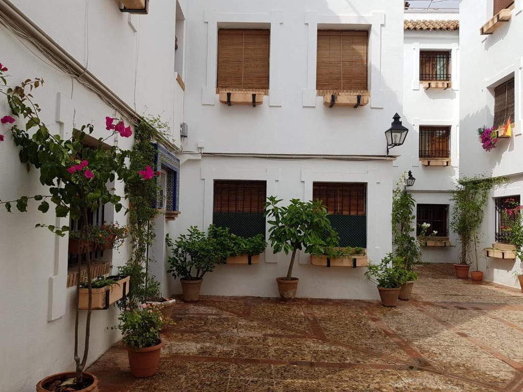 El Patio De La Aljama - 3